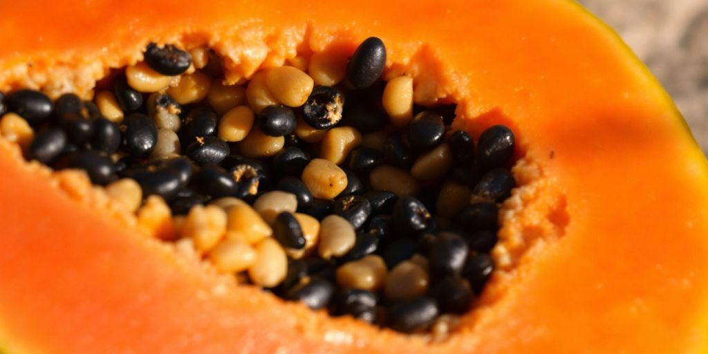 Nærbilde av en moden papaya med oransje kjøtt.