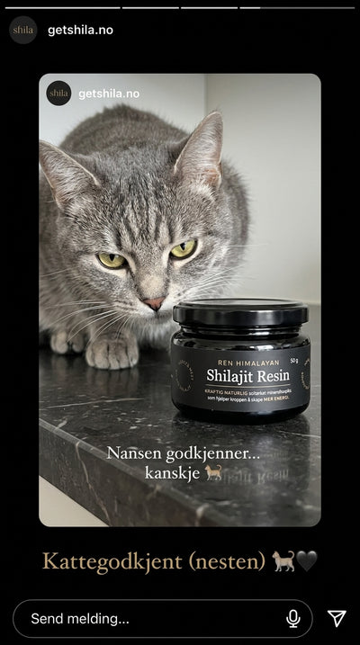 Norges mest solgte Shilajit. Over 10000+ solgte enheter.