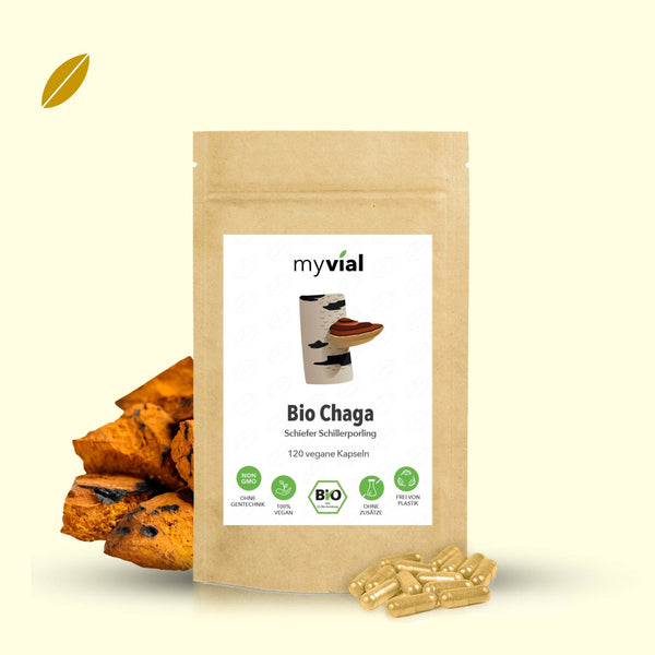 Chaga 120 kapsler