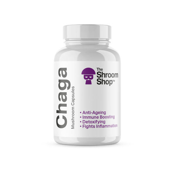 Chaga Mushroom - 90 kapsler