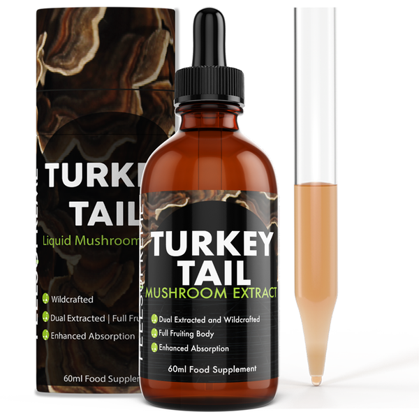 Turkey Tail Sopp ekstrakt/tinktur/dråper 60ml